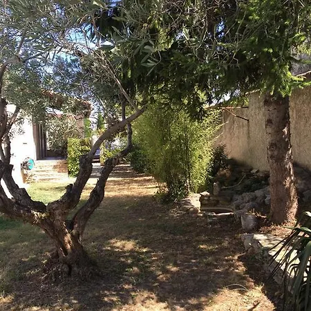 Des Carassins Saint-Remy-de-Provence